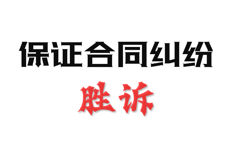 封面 - 保证合同纠纷 - 副本.jpg